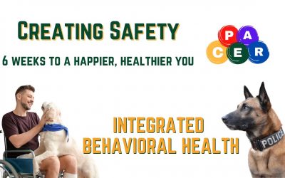 Safety 6 Weeks to a Happier Healthier You