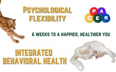 Psychological Flexibility 6 Weeks to a Happier You