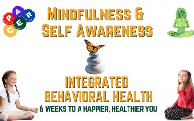 Mindfulness and Self Awareness 6 Weeks to a Happier Healthier You