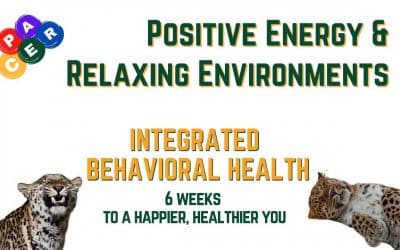 Relaxing Environments & Positive Energy: 6 Weeks to a Happier, Healthier You