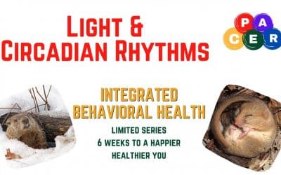 Light and Circadian Rhythms: 6 Weeks to a Happier, Healthier You