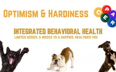 Optimism and Hardiness: 6 Weeks to a Happier, Healthier You