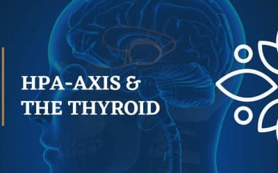 Impact of HPA-A Axis Dysfunction on the Thyroid, Mood and Health