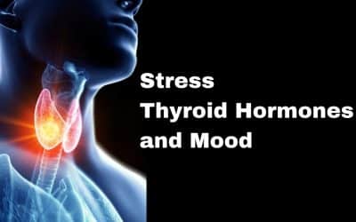 Stress, Thyroid, Hormones, and Mood