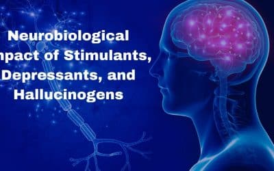 Neurobiological Impact of Stimulants Depressants and Hallucinogens