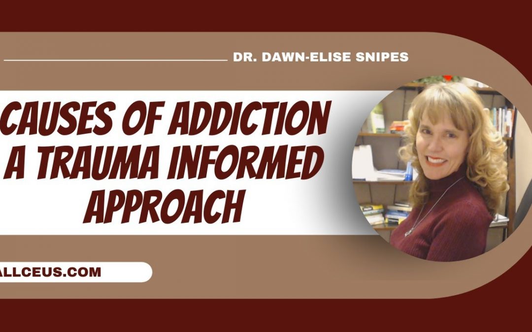 Causes of Addiction from a Trauma Informed Perspective
