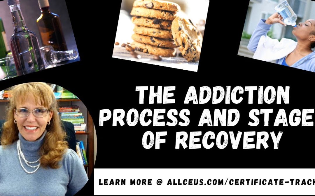 The Addiction Process and Stages of Recovery | Addiction Counselor Certification Training
