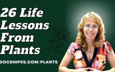 26 Life Lessons from Plants WWPD | Mindfulness Skills