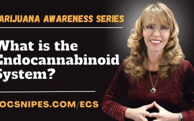 What is the Endocannabinoid System | Marijuana Awareness Series